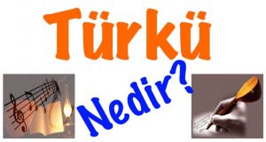 Türkü, Türkü nedir, Türkü ne demek, 10.sınıf Türkü, 10 edebiyat Türkü, Türkünün özellikleri, Türkü hakkında bilgi